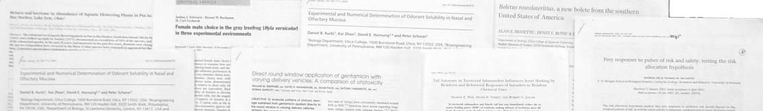 image of faculty publications
