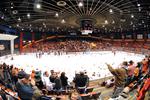 Teddy Bear Toss