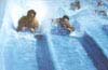 Enchanted Forest Water Safari