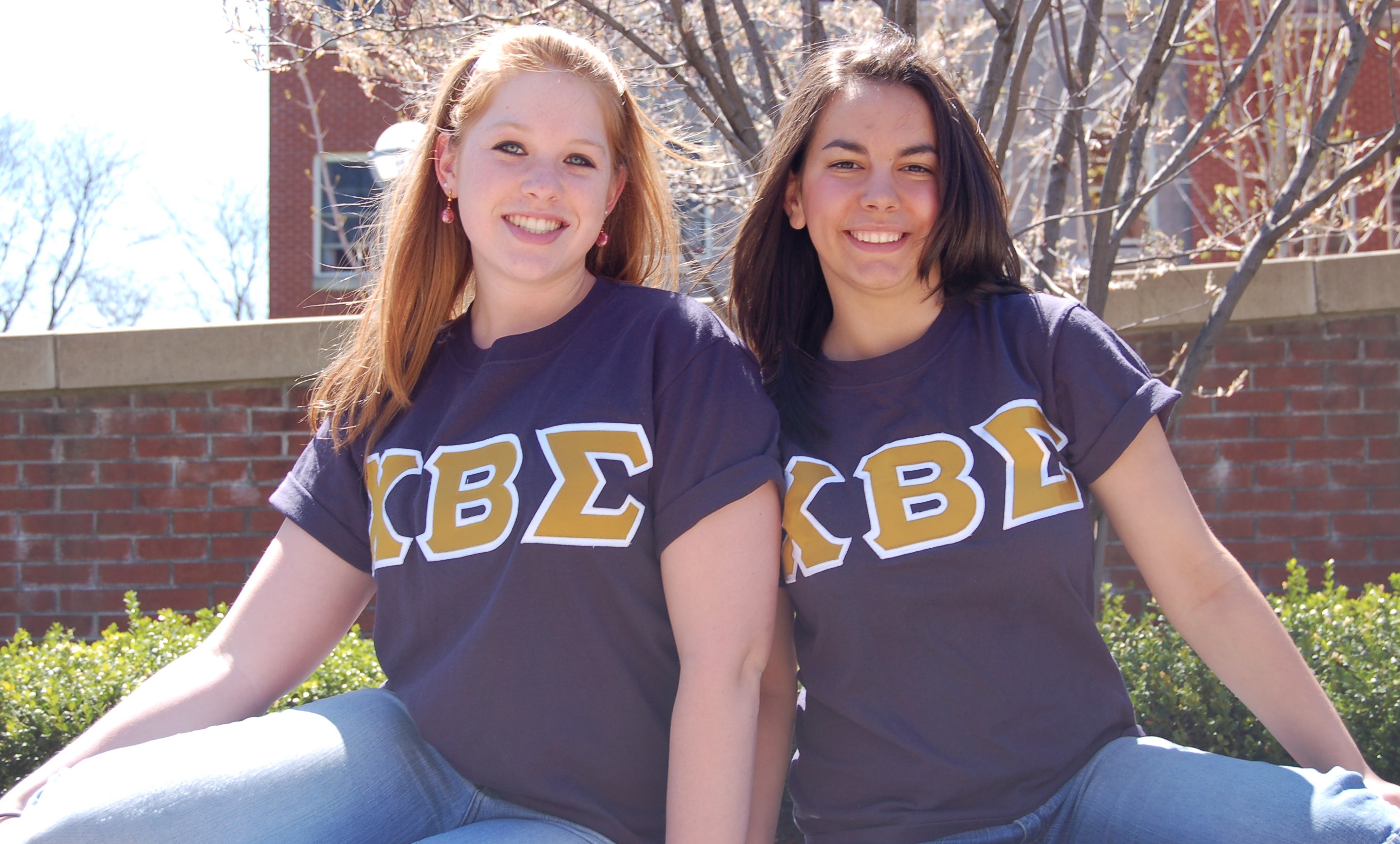 Chi Beta Sigma