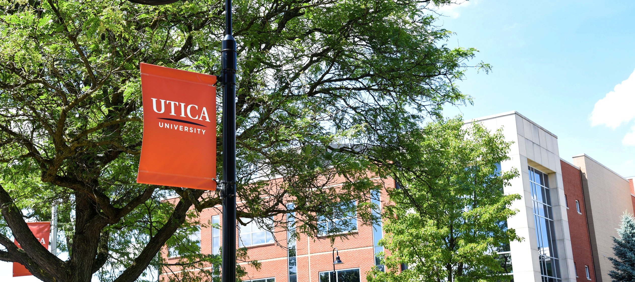 Utica University Policies and Procedures